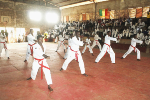 Passage de grades de taekwondo : Les ceintures noires ouvrent le bal