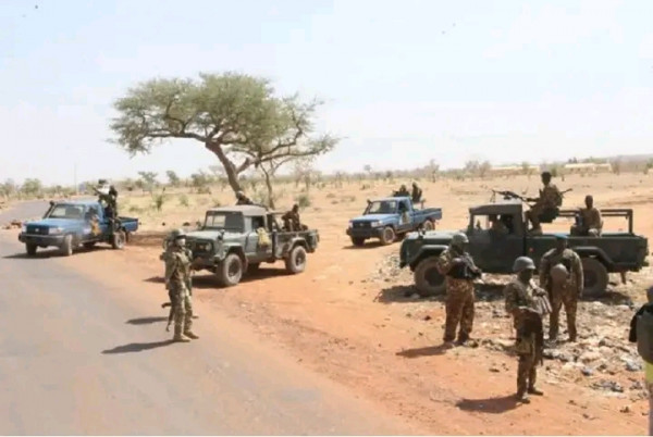 #Mali : Les FAMa interceptent plus de 300 têtes de bétail volés à Ansongo (Gao)